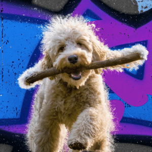 PUPPY Sub Package